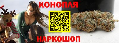 Альфа ПВП Краснознаменск