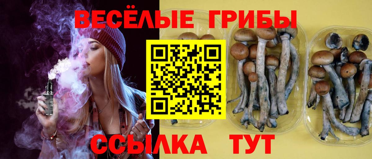 Хабаровск  Псилоцибиновые грибы Magic Shrooms  Вход с VPN 